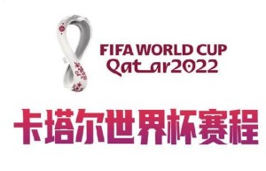 2022世界杯：今天赛事,时间,直播细节