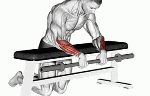 男生肱桡肌如何练最有效？