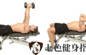 七色健身指南-男生健身房训练肱三头肌最准确的动作
