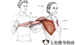七色健身指南-胸大肌拉伸方法有哪些？