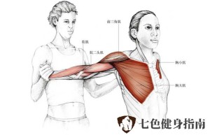 七色健身指南-胸大肌拉伸方法有哪些？