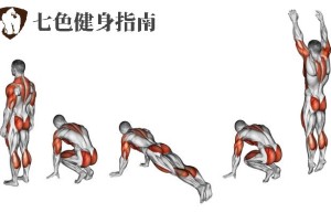 七色健身指南- 波比锻炼需要多久才能练出腹肌？