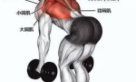 杠铃健身背部训练正确方法 提高背部肌肉力量