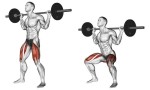 教你训练腿部肌肉最有效最正确的动作