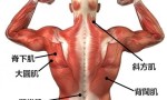 练背部增肌很难吗？这3个动作助你练出壮丽的背肌