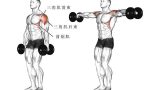 三角肌中束锻炼方法：打造肩部完美线条