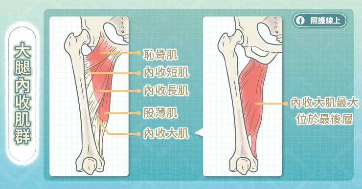 inner-thigh (2).jpg